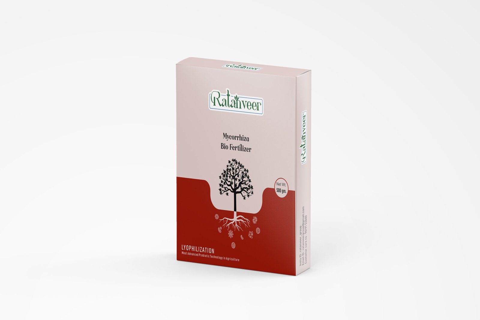 Mycorrhiza